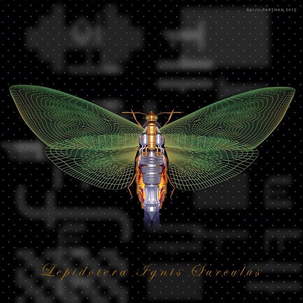 Process M- Moth (Lepidoptera Ignis)