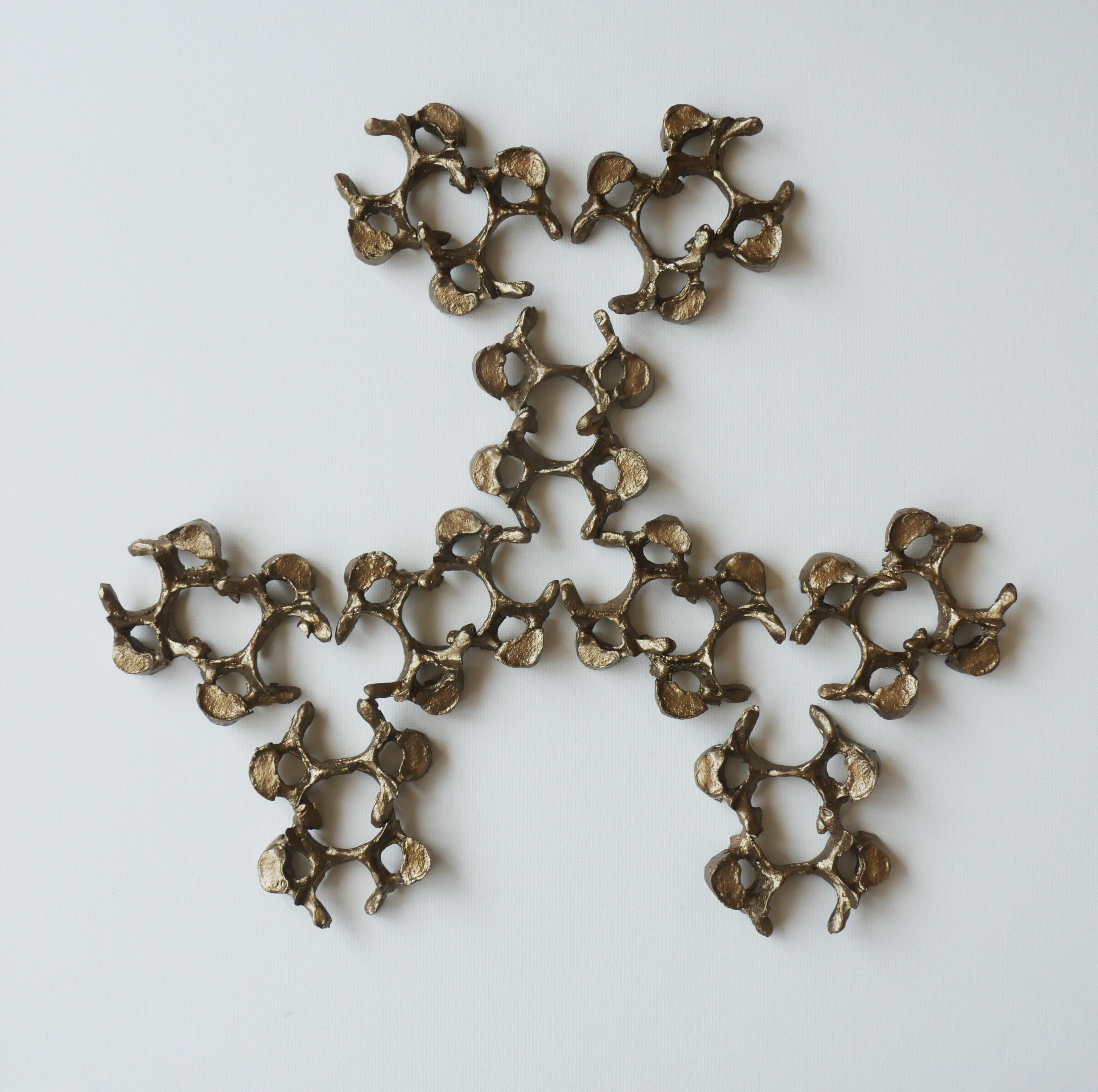 Evolving patterns 14