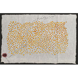 Fallen (Tabebuia Aurea- Yellow trumpet flower)