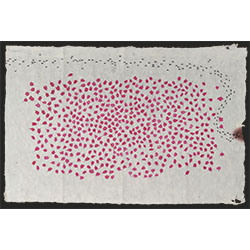 Fallen (Bougainvillea- Paper flower)