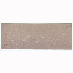 'Guess, he loved me not...'