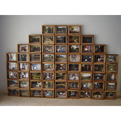 A moment of strange stillness