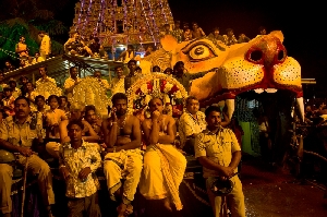 Urban Ecstacy Series