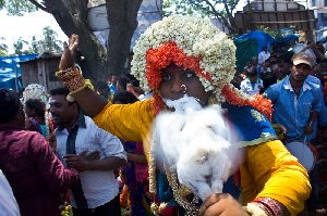 Urban Ecstacy Series