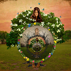 The Unity of Opposites